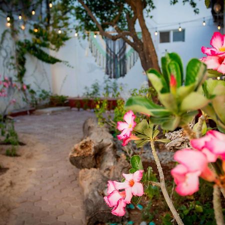 شقة Casa Colorida لاباز المظهر الخارجي الصورة